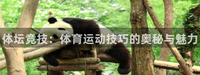 米兰体育官方正版app娱乐首页官网下载:体坛竞技:体育运动技