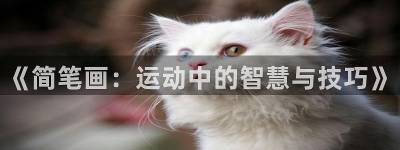 米兰体育官方正版app娱乐代理怎么样:《简笔画:运动中的智慧