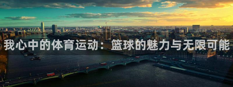 米兰体育官方正版app集团官网网址:我心中的体育运动:篮球的